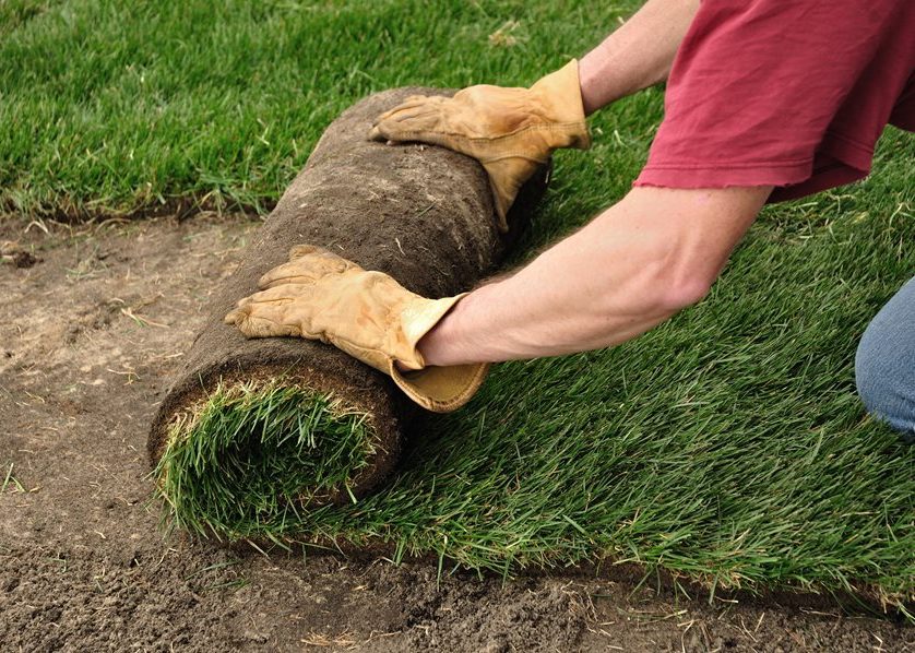 how to lay sod landscaping network_5644 e1734283058272